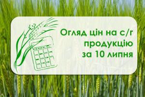 Другий день поспіль знижується ціна ріпаку — огляд цін на с/г продукцію за 10 липня 