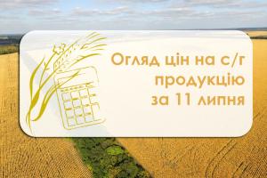 Пшениця та ріпак дешевшають — огляд цін на с/г продукцію за 11 липня 