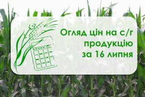 Кукурудза та ячмінь подорожчали — огляд цін на с/г продукцію за 16 липня 