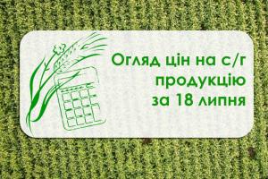 Пшениця та кукурудза подорожчали — огляд цін на с/г продукцію за 18 липня 