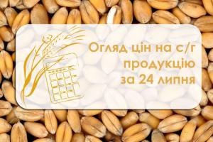 Ціни на зернові та олійні продовжують знижуватись — огляд цін на с/г продукцію за 24 липня 