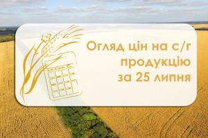 В порту Миколаєва знизилась ціна ячменю та ріпаку — огляд цін на с/г продукцію за 25 липня 