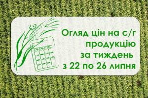 Пшениця та кукурудза подорожчали — огляд цін за тиждень з 22 по 26 липня