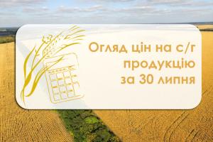 Ячмінь подешевшав — огляд цін на с/г продукцію за 30 липня 