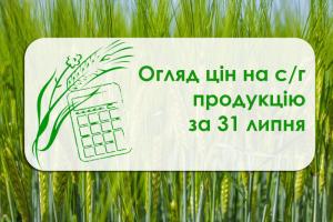 В портах Одещини подешевшав ріпак — огляд цін на с/г продукцію за 31 липня 