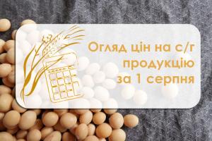 В порту Миколаєва знизилась вартість соняшнику та ячменю — огляд цін на с/г продукцію за 1 серпня 