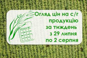 Ріпак, соняшник та пшениця подешевшали — огляд цін за тиждень з 29 липня по 2 серпня