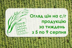 Соняшник подешевшав, ціна ячменю зросла — огляд цін за тиждень з 5 по 9 серпня