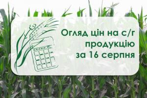 Огляд цін на с/г продукцію за 16 серпня