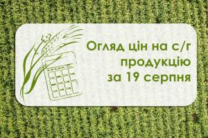 Огляд цін на с/г продукцію за 19 серпня