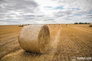 На племзаводі Одещини згоріло 700 т сіна