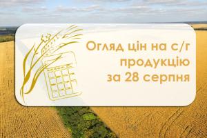 Ріпак та соя подорожчали — огляд цін на с/г продукцію за 28 серпня