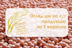 В Україні подешевшав ріпак — огляд цін на с/г продукцію за 3 вересня