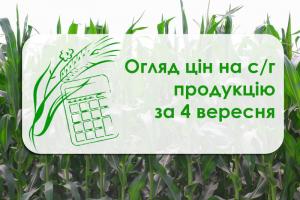 Соя та соняшник подешевшали — огляд цін на с/г продукцію за 4 вересня