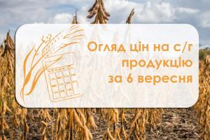 Огляд цін на с/г продукцію з 6 вересня