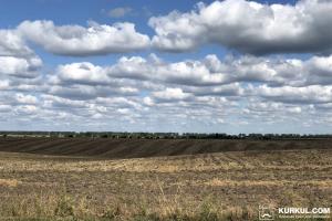 Держпідтримку АПК буде переглянуто в бік збільшення програм із викупу земель