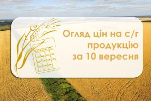 Соняшник подорожчав, ціна ячменю знизилась — огляд цін на с/г продукцію за 10 вересня