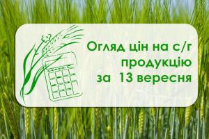 Кукурудза, ячмінь та соняшник подешевшали — огляд цін на с/г продукцію за 13 вересня