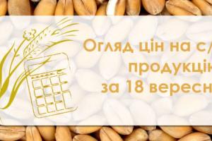 Соняшник, соя та кукурудза продовжують дешевшати — огляд цін на с/г продукцію за 18 вересня