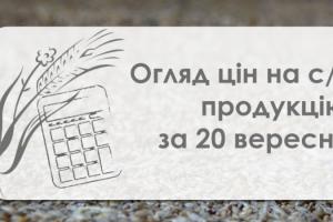 Ріпак подорожчав — огляд цін на с/г продукцію за 20 вересня