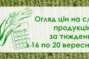 Ячмінь, соняшник, кукурудза — як змінилися ціни на с/г продукцію за тиждень з 16 по 20 вересня