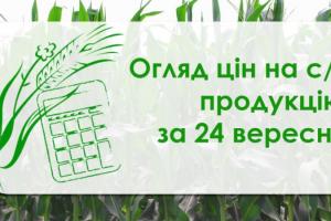 В Україні подешевшав ячмінь — огляд цін на с/г продукцію за 24 вересня