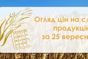 В Україні подешевшав соняшник — огляд цін на с/г продукцію за 25 вересня