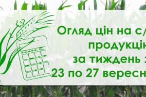 Ріпак, соняшник, ячмінь — як змінилися ціни на с/г продукцію за тиждень з 23 по 27 вересня