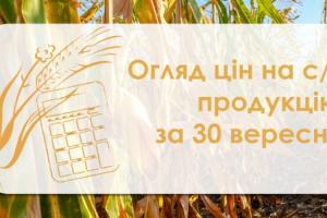 Пшениця, кукурудза та ячмінь подорожчали — огляд цін на с/г продукцію за 30 вересня