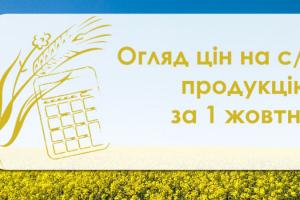 Пшениця, кукурудза та ячмінь подешевшали — огляд цін на с/г продукцію за 1 жовтня