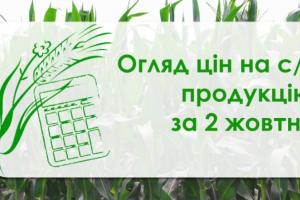 Пшениця та соняшник подорожчали — огляд цін на с/г продукцію за 2 жовтня