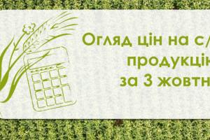 Змінилися ціни на пшеницю, кукурудзу та соняшник — огляд цін на с/г продукцію за 3 жовтня