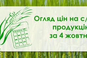 Ріпак і соняшник подорожчали — огляд цін на с/г продукцію за 4 жовтня