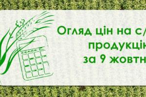 Зернові дорожчають, ціна соняшнику знизилась — огляд цін на с/г продукцію за 9 жовтня