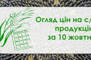 Ячмінь, кукурудза і соя подорожчали — огляд цін на с/г продукцію за 10 жовтня