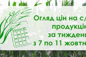 Соняшник подешевшав, зернові подорожчали — як змінилися ціни на с/г продукцію за тиждень з 7 по 11 жовтня