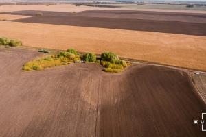 На Харківщині судитимуть фермера за самовільне захоплення с/г землі