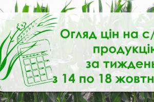 Соя та соняшник подешевшали — як змінилися ціни на с/г продукцію за тиждень з 14 по 18 жовтня