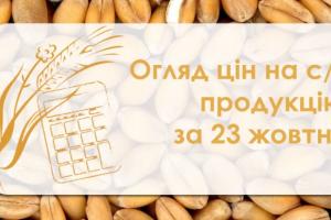 Пшениця та кукурудза подорожчали — огляд цін на с/г продукцію за 23 жовтня