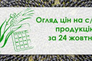 Ціни на пшеницю та кукурудзу продовжують зростати — огляд цін на с/г продукцію за 24 жовтня