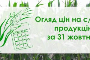 Як змінились ціни на зернові та олійні — огляд за 31 жовтня