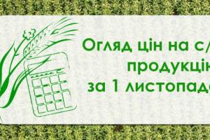 Пшениця та соя подорожчали — огляд цін на с/г продукцію за 1 листопада