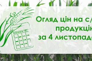 Зернові та олійні подешевшали — огляд цін на с/г продукцію за 4 листопада