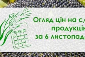 Кукурудза та пшениця подорожчали — огляд цін на с/г продукцію за 6 листопада