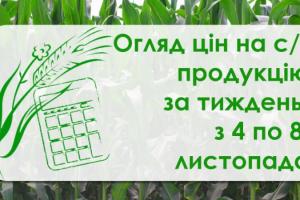 Соняшник та кукурудза подорожчали — як змінилися ціни на с/г продукцію за тиждень з 4 по 8 листопада