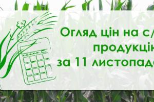 Ячмінь та соняшник подешевшали — огляд цін на с/г продукцію за 11 листопада