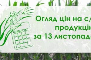 Соняшник, ячмінь та пшениця подешевшали — огляд цін на с/г продукцію за 13 листопада