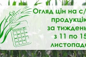 Кукурудза та ячмінь подешевшали — як змінилися ціни на с/г продукцію за тиждень з 11 по 15 листопада