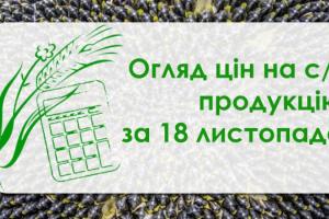 Соняшник подешевшав, кукурудза подорожчала — огляд цін на с/г продукцію за 18 листопада