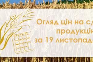 Кукурудза подешевшала — огляд цін на с/г продукцію за 19 листопада